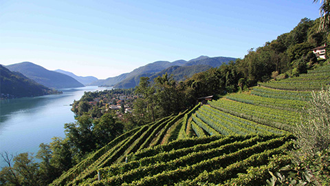 Tessin